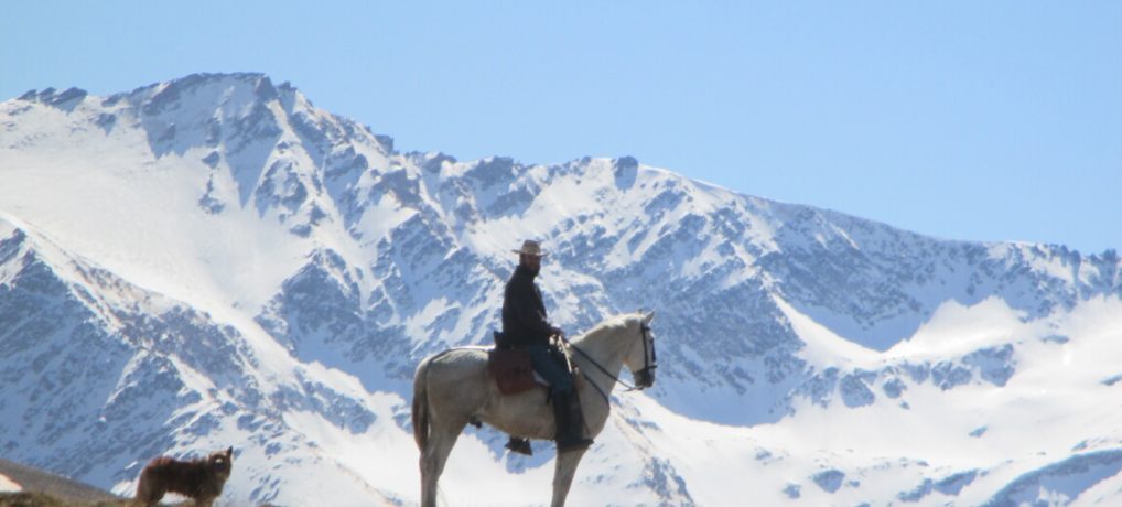 Horse Riding Sierra Nevada: Safety vs Money